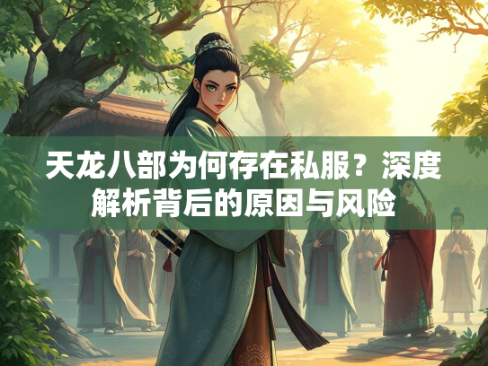 天龙八部为何存在私服？深度解析背后的原因与风险