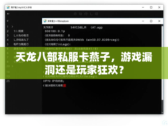 天龙八部私服卡燕子，游戏漏洞还是玩家狂欢？