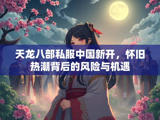 天龙八部私服中国新开，怀旧热潮背后的风险与机遇  第3张