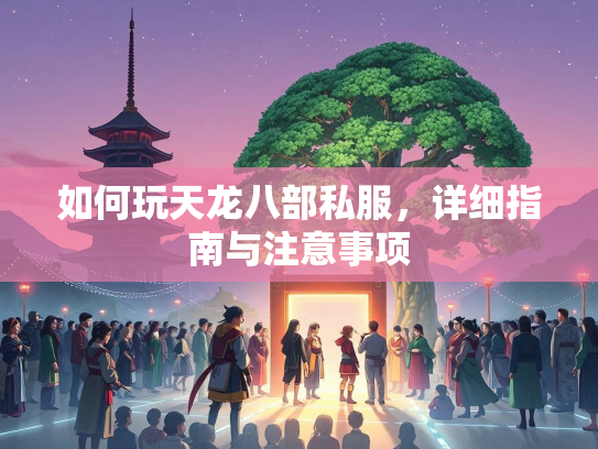 如何玩天龙八部私服，详细指南与注意事项  第2张