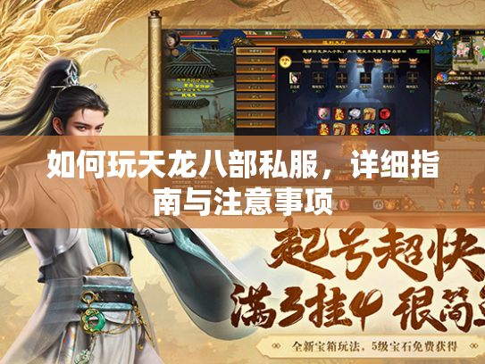 如何玩天龙八部私服，详细指南与注意事项