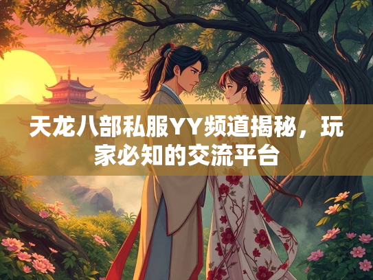 天龙八部私服YY频道揭秘，玩家必知的交流平台