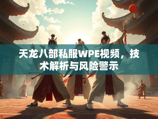 天龙八部私服WPE视频，技术解析与风险警示