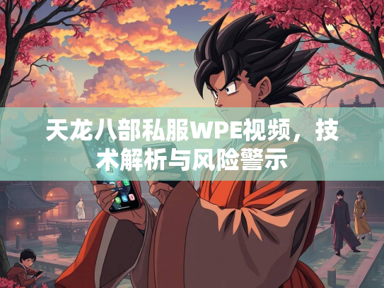 天龙八部私服WPE视频，技术解析与风险警示