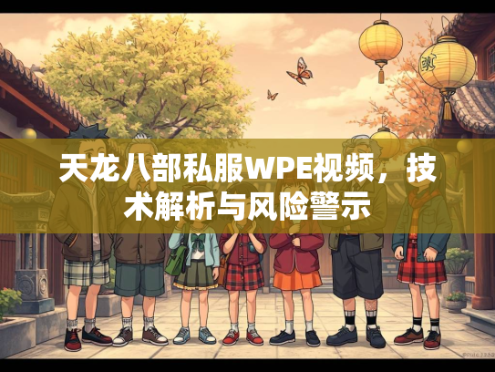 天龙八部私服WPE视频，技术解析与风险警示