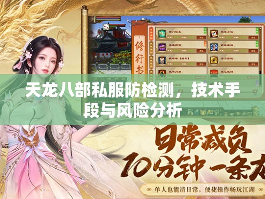 天龙八部私服防检测，技术手段与风险分析