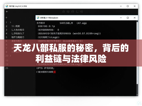 天龙八部私服的秘密，背后的利益链与法律风险  第2张