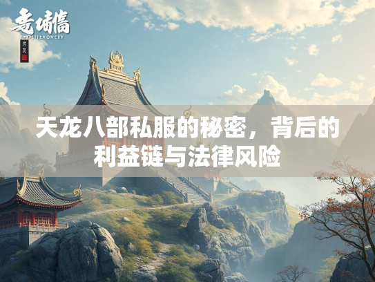 天龙八部私服的秘密，背后的利益链与法律风险  第3张