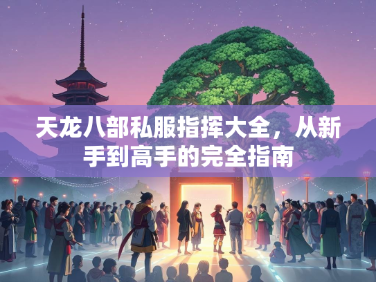 天龙八部私服指挥大全，从新手到高手的完全指南  第3张