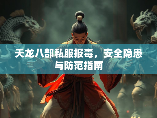 天龙八部私服报毒，安全隐患与防范指南