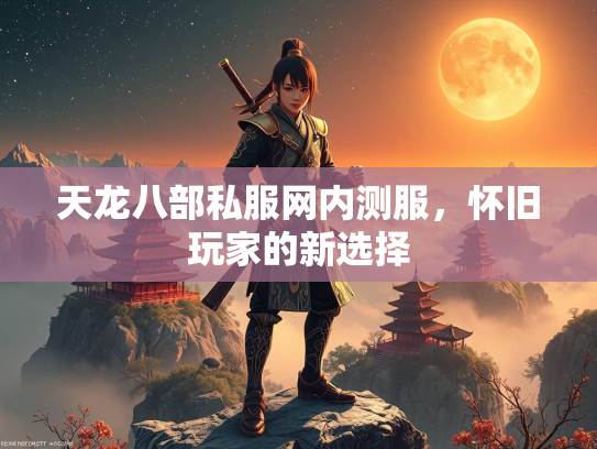 天龙八部私服网内测服，怀旧玩家的新选择  第3张
