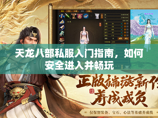 天龙八部私服入门指南，如何安全进入并畅玩  第1张