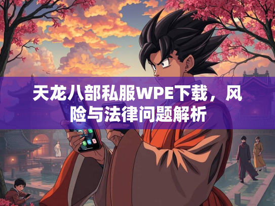 天龙八部私服WPE下载，风险与法律问题解析