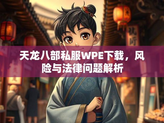 天龙八部私服WPE下载，风险与法律问题解析
