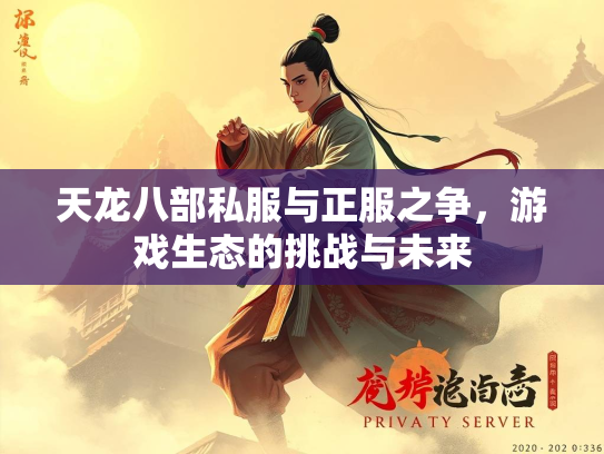 天龙八部私服与正服之争，游戏生态的挑战与未来
