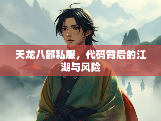 天龙八部私服，代码背后的江湖与风险