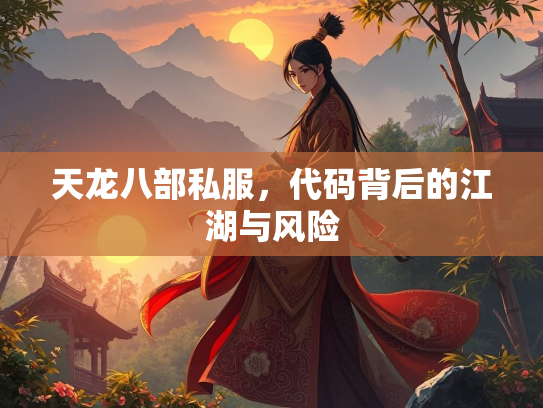 天龙八部私服，代码背后的江湖与风险