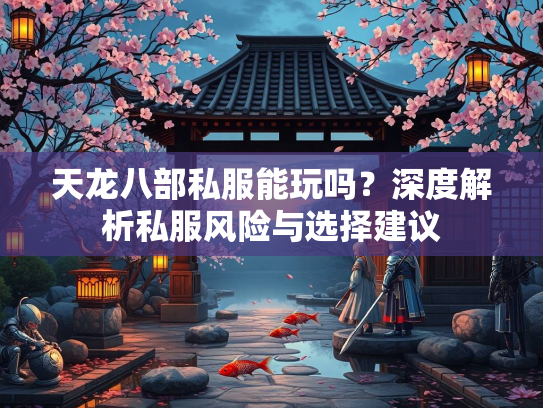 天龙八部私服能玩吗？深度解析私服风险与选择建议  第2张