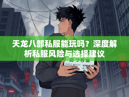 天龙八部私服能玩吗？深度解析私服风险与选择建议  第1张