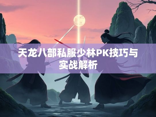 天龙八部私服少林PK技巧与实战解析