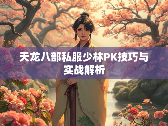 天龙八部私服少林PK技巧与实战解析