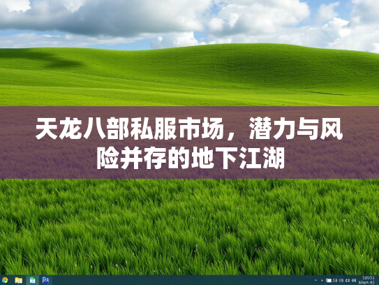 天龙八部私服市场，潜力与风险并存的地下江湖