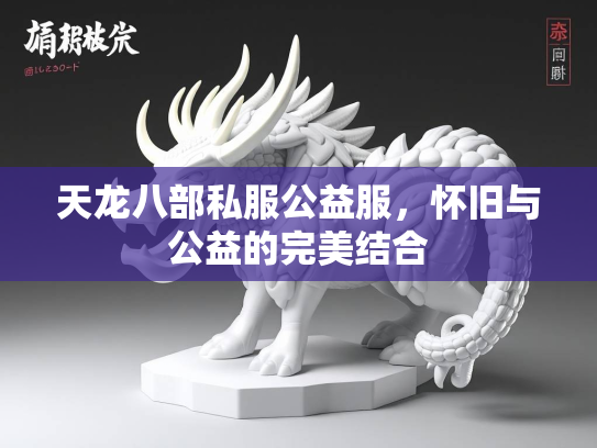 天龙八部私服公益服，怀旧与公益的完美结合  第2张