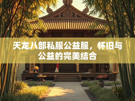 天龙八部私服公益服，怀旧与公益的完美结合