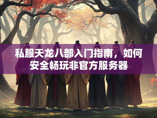 私服天龙八部入门指南，如何安全畅玩非官方服务器