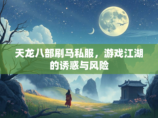 天龙八部刷马私服，游戏江湖的诱惑与风险  第3张