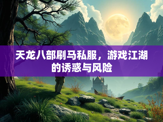 天龙八部刷马私服，游戏江湖的诱惑与风险