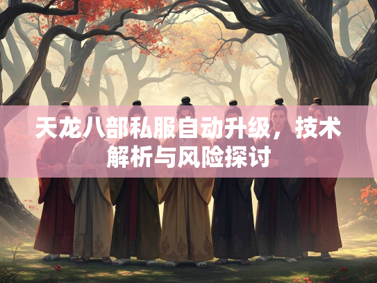 天龙八部私服自动升级，技术解析与风险探讨