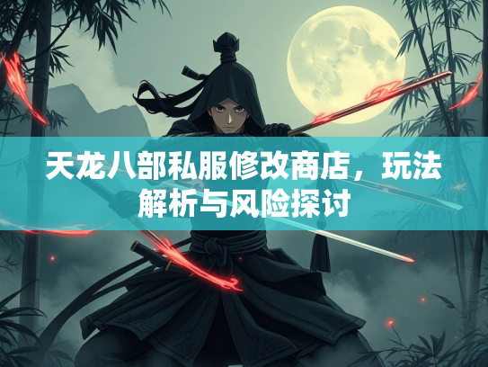 天龙八部私服修改商店，玩法解析与风险探讨