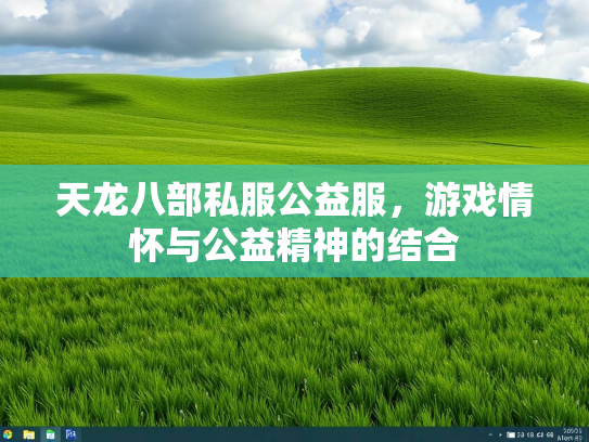 天龙八部私服公益服，游戏情怀与公益精神的结合