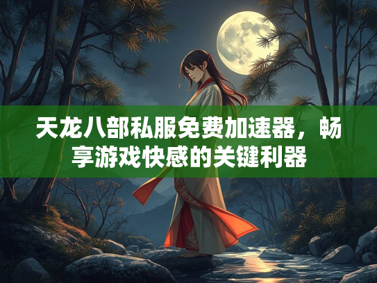 天龙八部私服免费加速器，畅享游戏快感的关键利器  第2张
