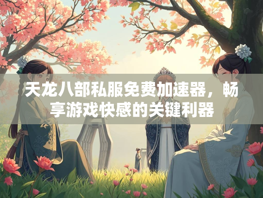 天龙八部私服免费加速器，畅享游戏快感的关键利器