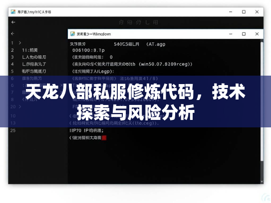 天龙八部私服修炼代码，技术探索与风险分析  第3张