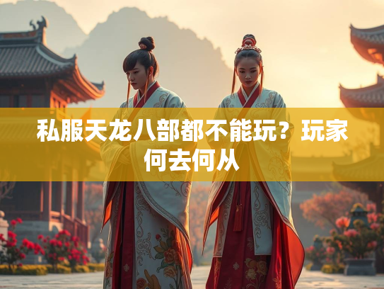 私服天龙八部都不能玩？玩家何去何从  第3张