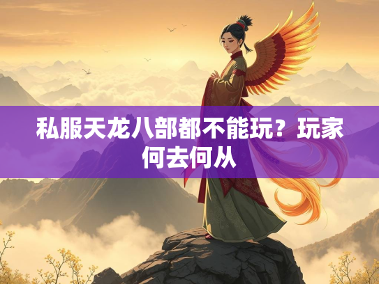 私服天龙八部都不能玩？玩家何去何从