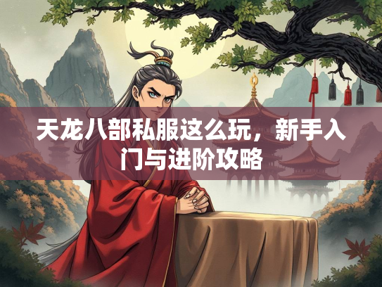 天龙八部私服这么玩，新手入门与进阶攻略  第2张