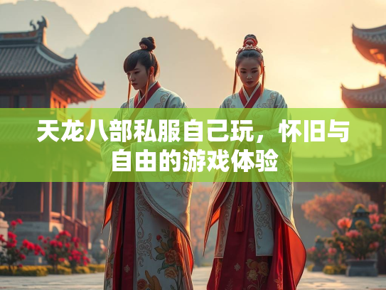 天龙八部私服自己玩，怀旧与自由的游戏体验