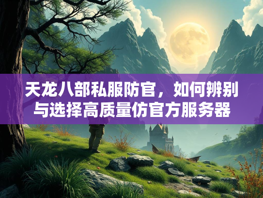 天龙八部私服防官，如何辨别与选择高质量仿官方服务器  第3张