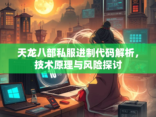 天龙八部私服进制代码解析，技术原理与风险探讨