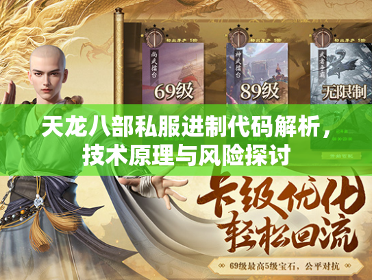 天龙八部私服进制代码解析，技术原理与风险探讨