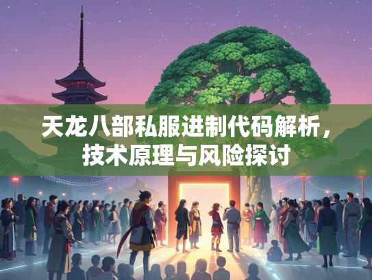 天龙八部私服进制代码解析，技术原理与风险探讨