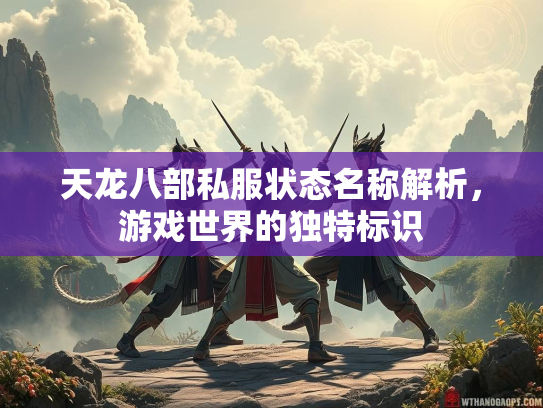 天龙八部私服状态名称解析，游戏世界的独特标识