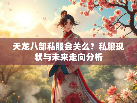 天龙八部私服会关么？私服现状与未来走向分析  第2张