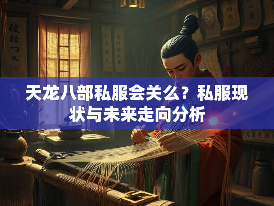 天龙八部私服会关么？私服现状与未来走向分析  第3张