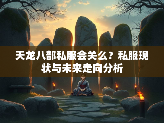 天龙八部私服会关么？私服现状与未来走向分析  第1张