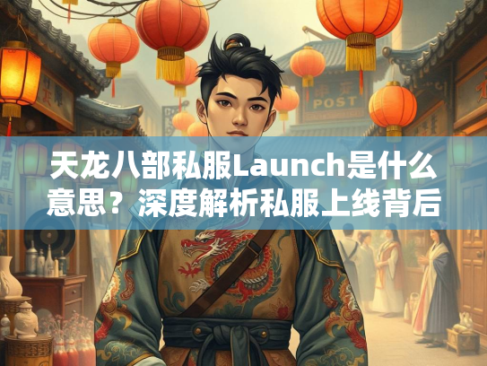 天龙八部私服Launch是什么意思？深度解析私服上线背后的含义  第3张